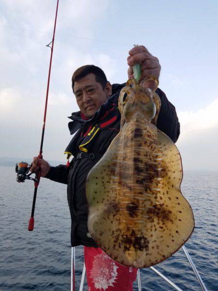 ソルトウォーターガイドフレンズ 釣果