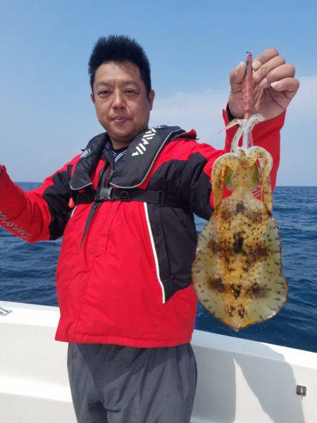 ソルトウォーターガイドフレンズ 釣果