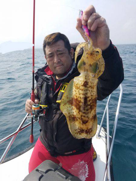 ソルトウォーターガイドフレンズ 釣果