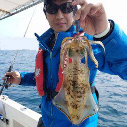 ソルトウォーターガイドフレンズ 釣果