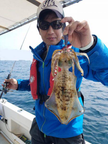 ソルトウォーターガイドフレンズ 釣果