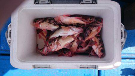 海龍丸（石川） 釣果