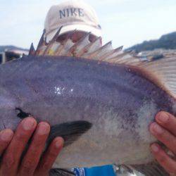 第三共栄丸 釣果