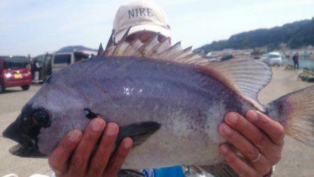 第三共栄丸 釣果