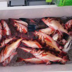 海龍丸（石川） 釣果