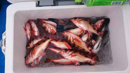 海龍丸（石川） 釣果