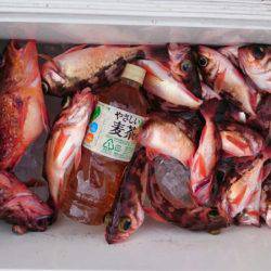 海龍丸（石川） 釣果