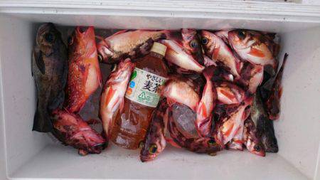 海龍丸（石川） 釣果