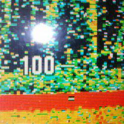 サンマリン 釣果