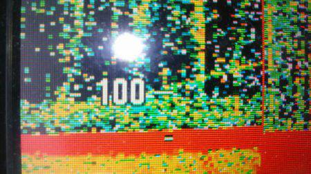 サンマリン 釣果