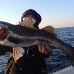 THESEAMAN(ザシーマン) 釣果