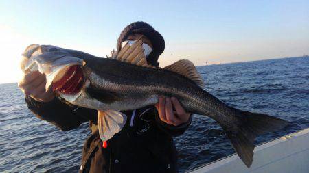 THESEAMAN(ザシーマン) 釣果