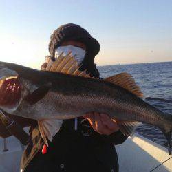 THESEAMAN(ザシーマン) 釣果