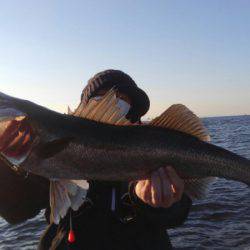 THESEAMAN(ザシーマン) 釣果