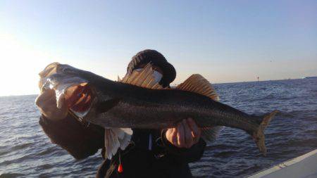 THESEAMAN(ザシーマン) 釣果