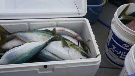 ブルドック 釣果