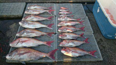 ARCADIAⅡ (アルカディアⅡ) 釣果