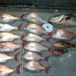 FISHING RISKY 釣果