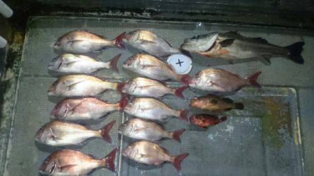 FISHING RISKY 釣果