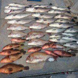 FISHING RISKY 釣果