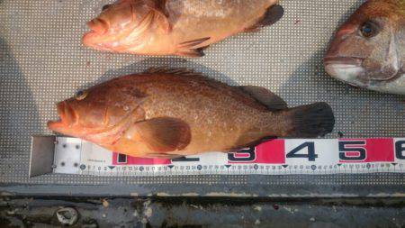 FISHING RISKY 釣果