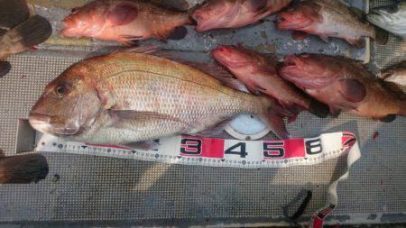 FISHING RISKY 釣果