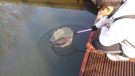 つりぼりあかし 釣果