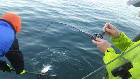 タイラバ遊漁船 ワンピース 釣果