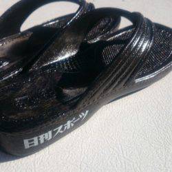 第三共栄丸 釣果