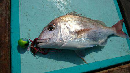 和栄丸 釣果