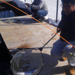 つりぼりあかし 釣果