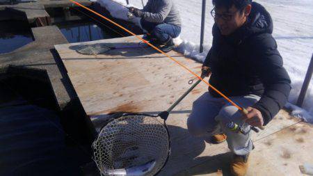 つりぼりあかし 釣果