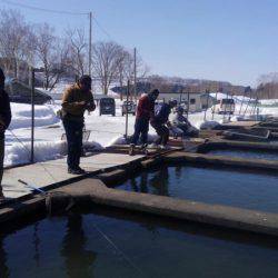 つりぼりあかし 釣果