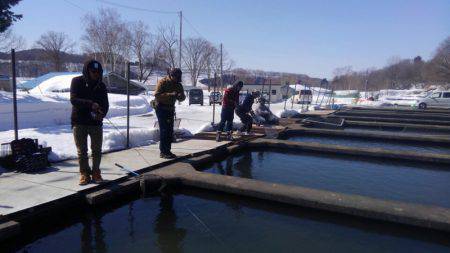 つりぼりあかし 釣果