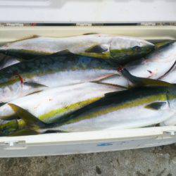 ブルドック 釣果