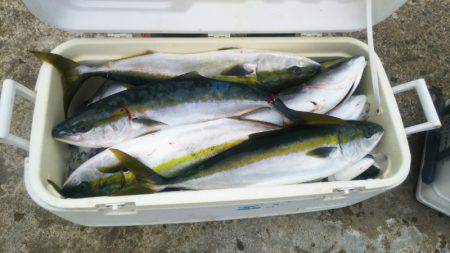 ブルドック 釣果