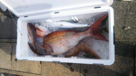 ブルドック 釣果