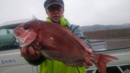 第三共栄丸 釣果