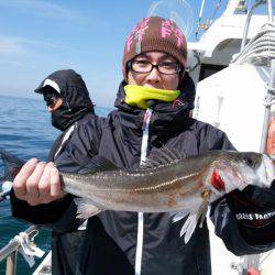 ありもと丸 釣果