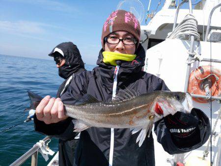 ありもと丸 釣果