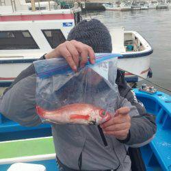 丸万釣船 釣果