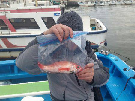 丸万釣船 釣果