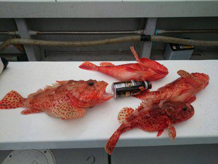 エンペラー 釣果