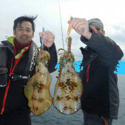きずなまりん 釣果