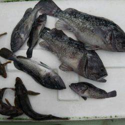 天祐丸 釣果