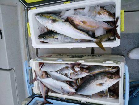 ありもと丸 釣果