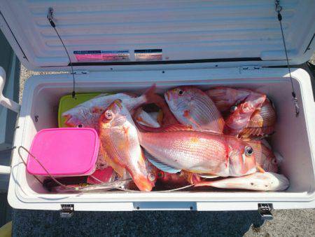 エンペラー 釣果