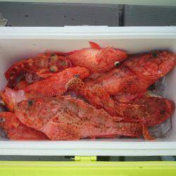 エンペラー 釣果