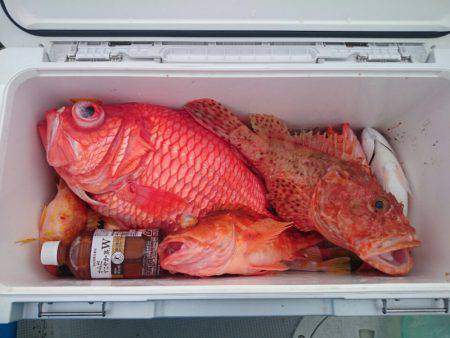 エンペラー 釣果