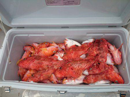 エンペラー 釣果